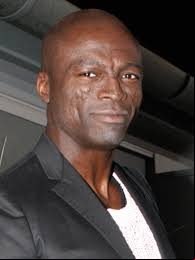 Seal Picture