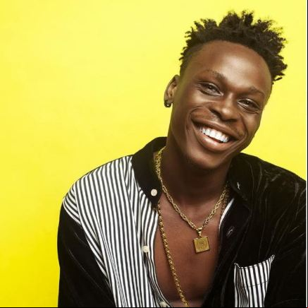FireBoy DML
